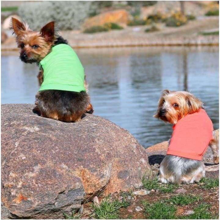 - Copy of 100% Cotton Dog Tank Top in Coral NEW ARRIVAL