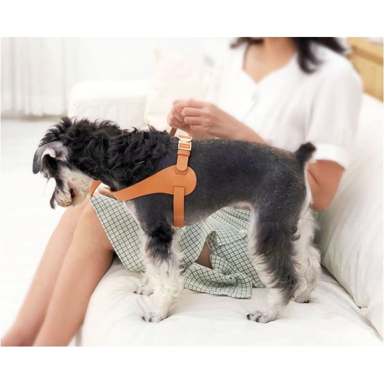 Boutique Series Brown Adjustable Designer Microfiber Leather Dog Harness NEW ARRIVAL