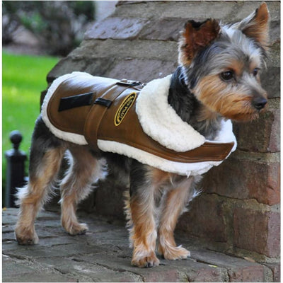- Vintage Bomber Dog Coat & Leash
