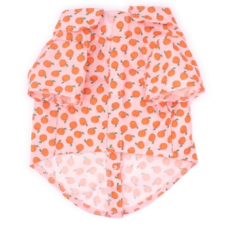 Peachy Keen Dog Shirt Dog Apparel clothes for small dogs, cute dog apparel, cute dog clothes, NEW ARRIVAL, shirts for dogs