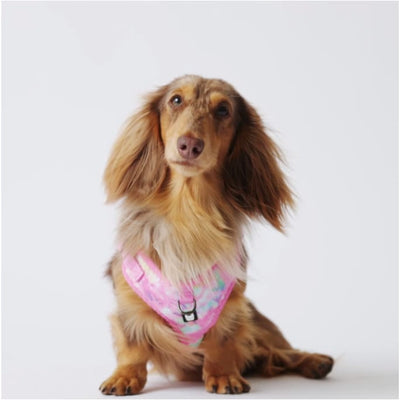 Pink Tye Dye Poplin Dog Harness