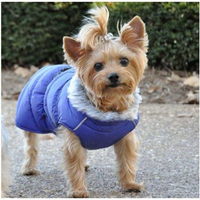 - Copy Of Alpine Extreme Cold Puffer Dog Coat Raincoats Waterproof Coats