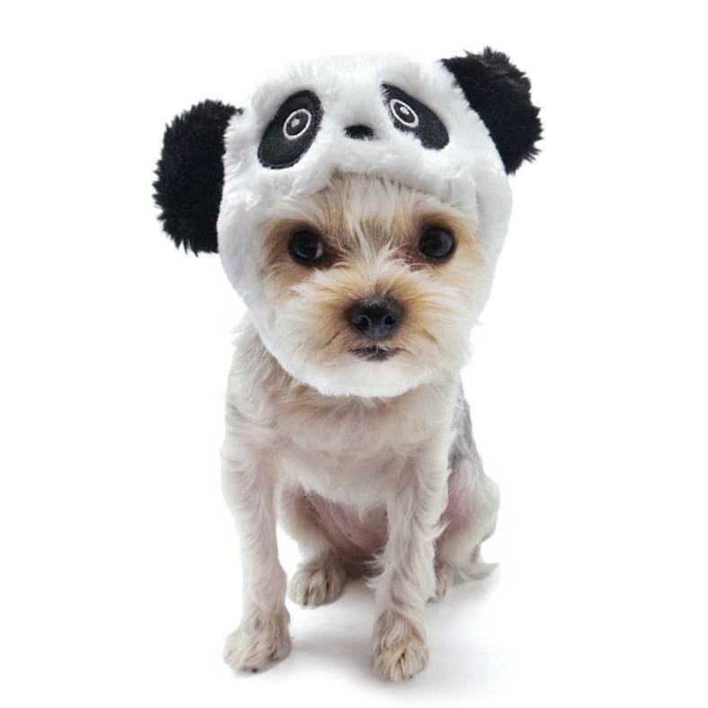 Furry Panda Dog Hat clothes for small dogs, cute dog apparel, cute dog clothes, dog apparel, DOG HATS