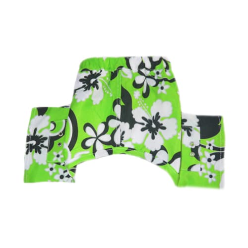 - Pattaya Dog Swim Trunks pooch outfitters