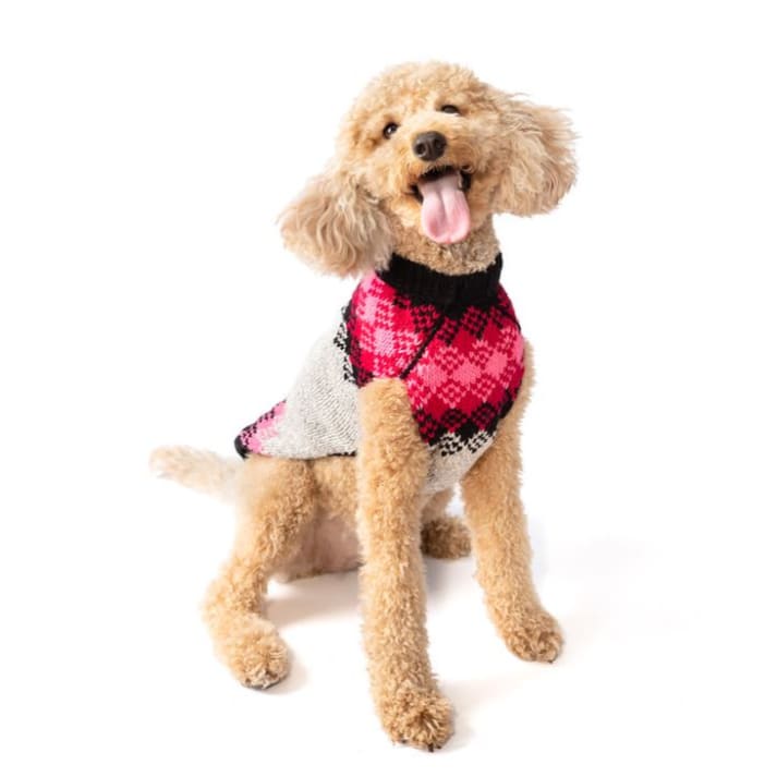 Pink Diamonds Wool Dog Sweater Dog Apparel clothes for small dogs, cute dog apparel, cute dog clothes, dog apparel, dog hoodies