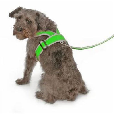 Precision Fit Step-In Dog Harness