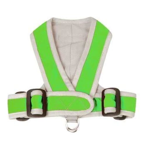 Precision Fit Step-In Dog Harness