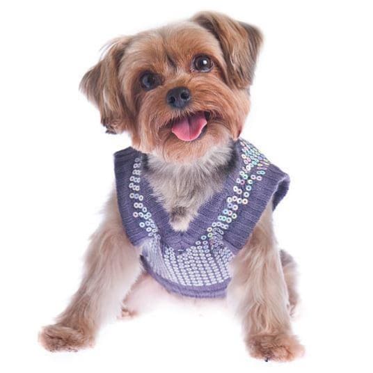 Party Girl Sequined Sweater clothes for small dogs, cute dog apparel, cute dog clothes, dog apparel, dog sweaters