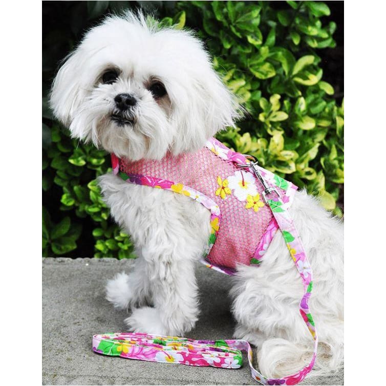 - Pink Hawaiian Dog Harness & Matching Leash NEW ARRIVAL