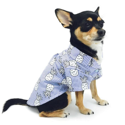 - Pineapple Dog Shirt in Blue DOGO NEW ARRIVAL
