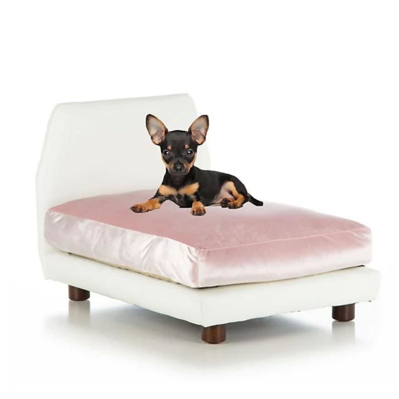 Pink Velvet Orthopedic Mid Century Lido Dog Bed NEW ARRIVAL