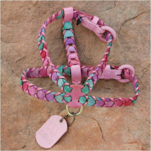 - Mulicolor Leather Dog Harness Dog In The Closet New