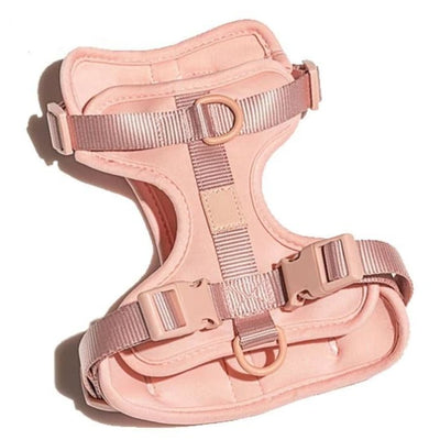 Blush Pink Cushioned Smart Harness & Leash NEW ARRIVAL