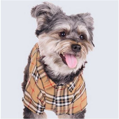 - Tan Plaid Dog Shirt WORTHY DOG