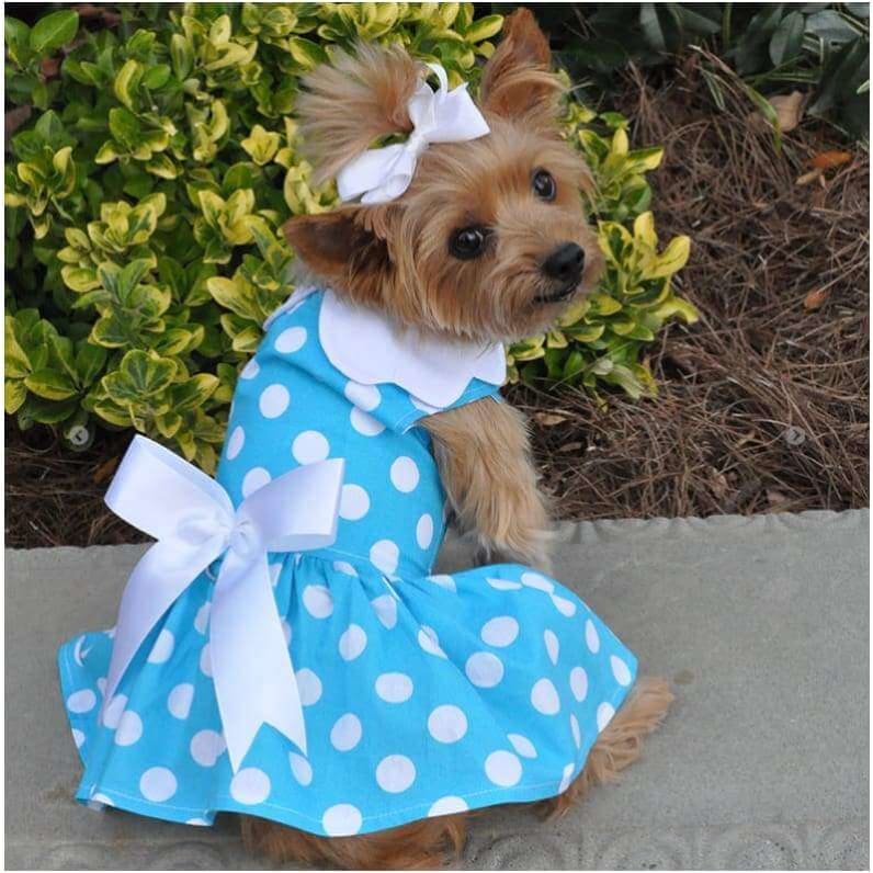 - Blue Polka Dot Dress With Matching Leash New Arrival
