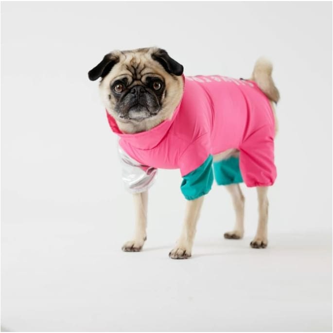 Pink Ricki Dog Tracksuit Dog Apparel clothes for small dogs, COATS, cute dog apparel, cute dog clothes, dog apparel