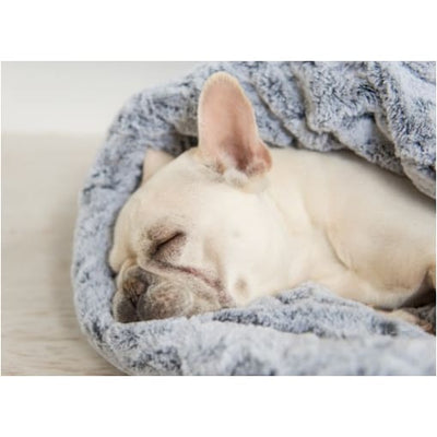 - P.l.a.y. Snuggle Dog Bed