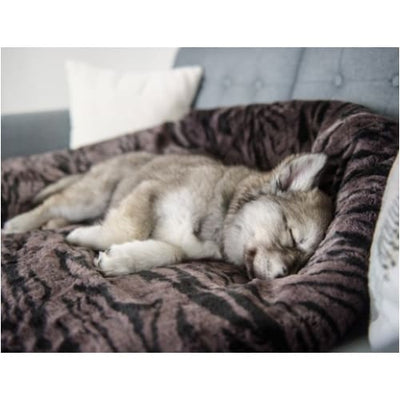 - P.l.a.y. Snuggle Dog Bed