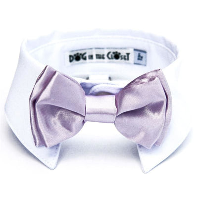 - White Shirt Dog Collar With Lilac Bow Tie dog in the closet NEW ARRIVAL
