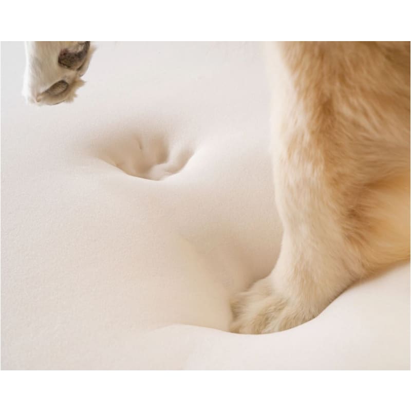 PupRug™ Faux Cheetah Print Memory Foam Dog Bed