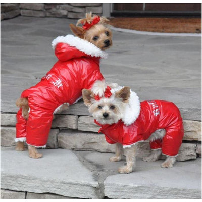 - Red Ruffin It Doggie Snowsuit clothes for small dogs COATS cute dog apparel cute dog clothes dog apparel