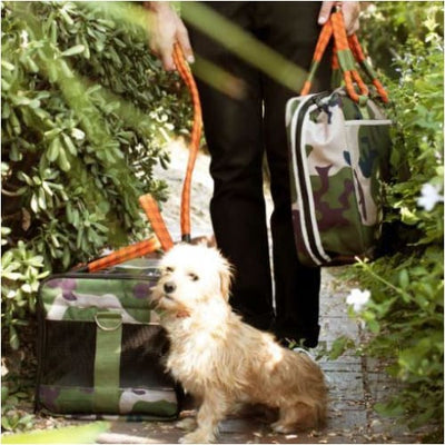 Out-of-Office Pet Carrier Camo/Orange NEW ARRIVAL