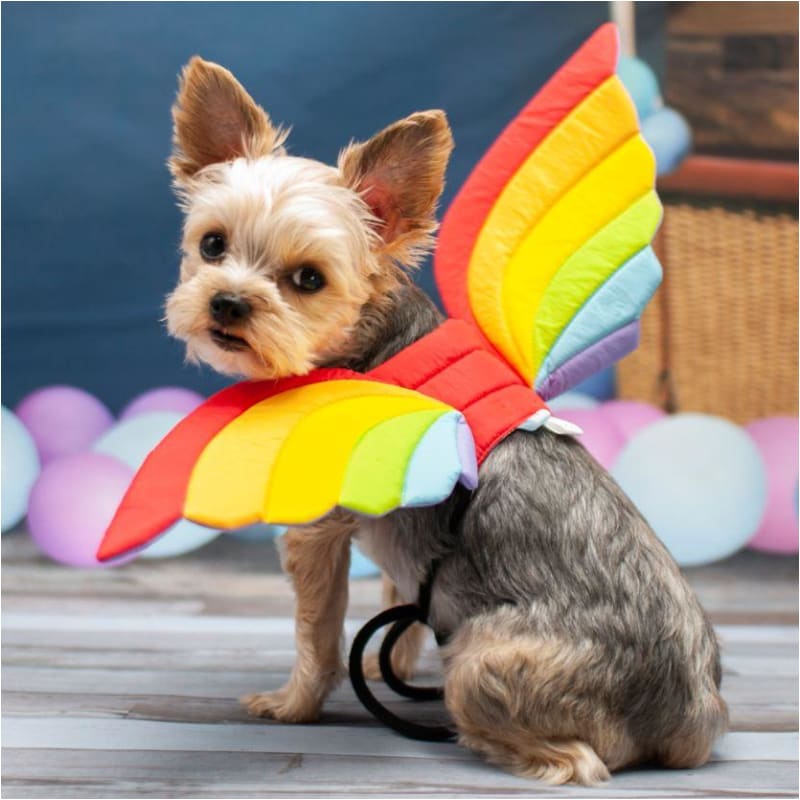 Adjustable Tie-On Rainbow Dog Wings