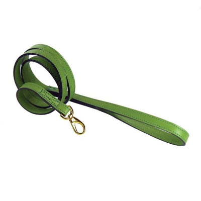 - Regency Italian Leather Dog Collar in Lime Green genuine leather dog collars HARTMAN & ROSE luxury dog collars