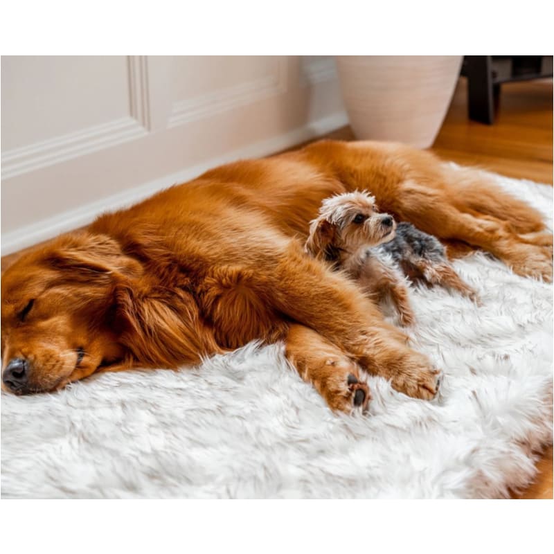Rectangle White PupRug™ Runner Faux Fur Othopedic Dog Bed NEW ARRIVAL