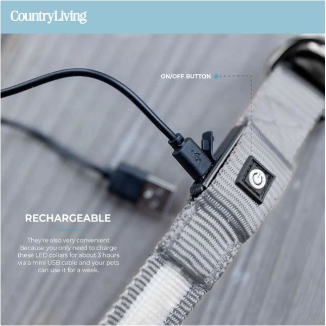 Gray Country Living™ Reflective Light-Up Rechargeable Dog Collar NEW ARRIVAL