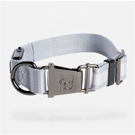 Gray Country Living™ Reflective Light-Up Rechargeable Dog Collar NEW ARRIVAL