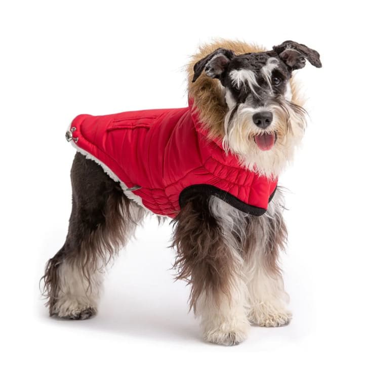 Red Elasto-Fit Urban Dog Parka Dog Apparel NEW ARRIVAL