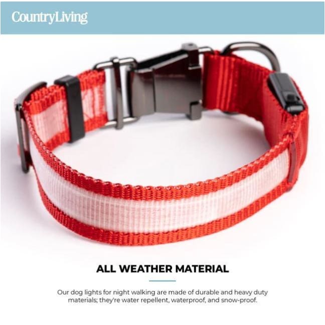 Red Country Living™ Reflective Light-Up Rechargeable Dog Collar NEW ARRIVAL