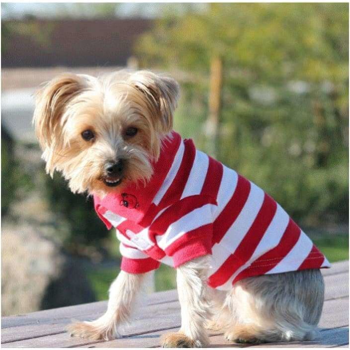 100% Cotton Preppy Pup Polo - Red Stripe NEW ARRIVAL