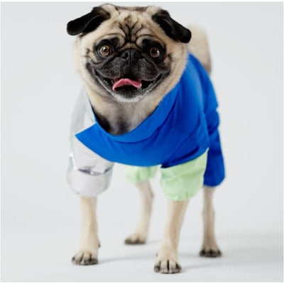 Blue Ricki Dog Tracksuit Dog Apparel clothes for small dogs, COATS, cute dog apparel, cute dog clothes, dog apparel