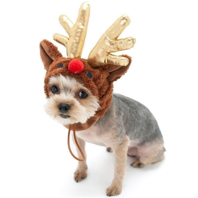 - Rudolph Dog Hat clothes for small dogs cute dog apparel cute dog clothes dog apparel DOG HATS