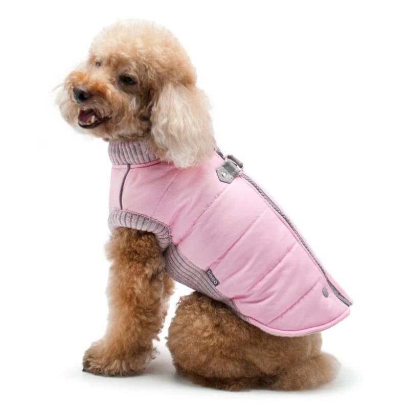 - Pink Runner Dog Coat Coats New Arrival