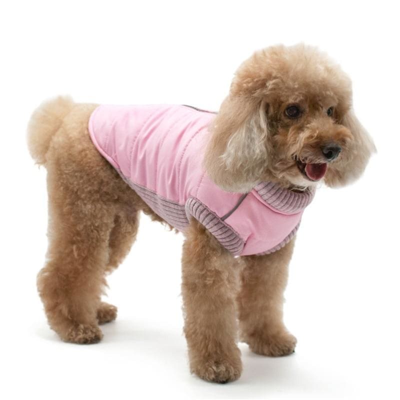 - Pink Runner Dog Coat Coats New Arrival