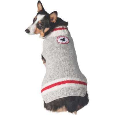 Squirrel Patrol Dog Sweater clothes for small dogs, cute dog apparel, cute dog clothes, dog apparel, dog hoodies