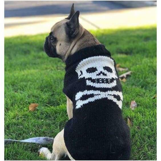 - Black Skull Hand-Knit Wool Dog Sweater clothes for small dogs cute dog apparel cute dog clothes dog apparel dog hoodies