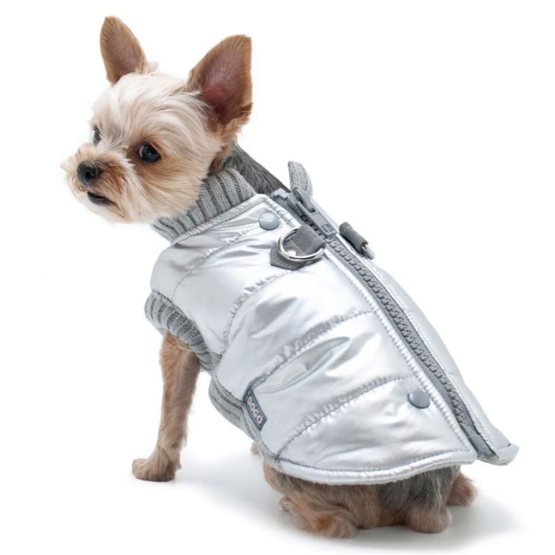 - Runner Dog Coat Silver clothes for small dogs COATS cute dog apparel cute dog clothes dog apparel