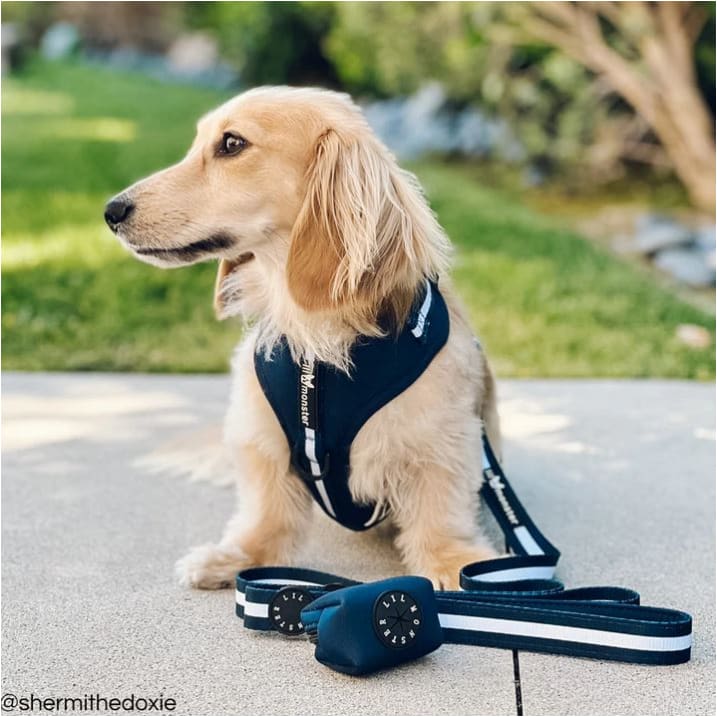 Sporty Navy Adjustable Dog Harness Pet Collars & Harnesses NEW ARRIVAL