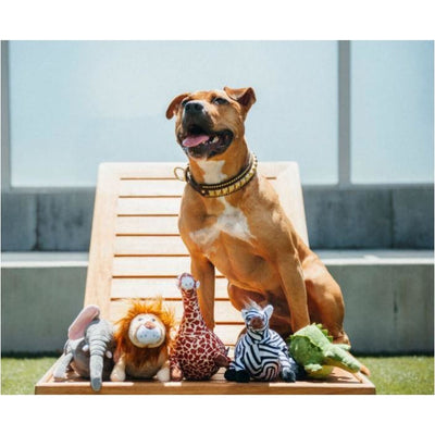 - Safari Plush Dog Toy Collection NEW ARRIVAL