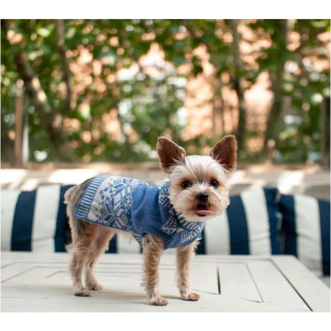 - Shiny Snowflake Dog Sweater APPAREL clothes for small dogs cute dog apparel cute dog clothes dog apparel dog hoodies