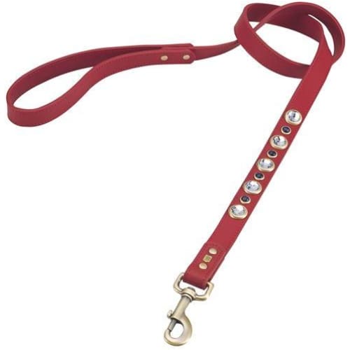 - Diamond Faceted Rhinestones & Sodalite Genuine Leather Dog Collar
