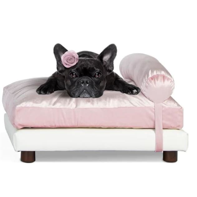 Pink Velvet and White Faux Leather Orthopedic Soho Milo Dog Bed NEW ARRIVAL