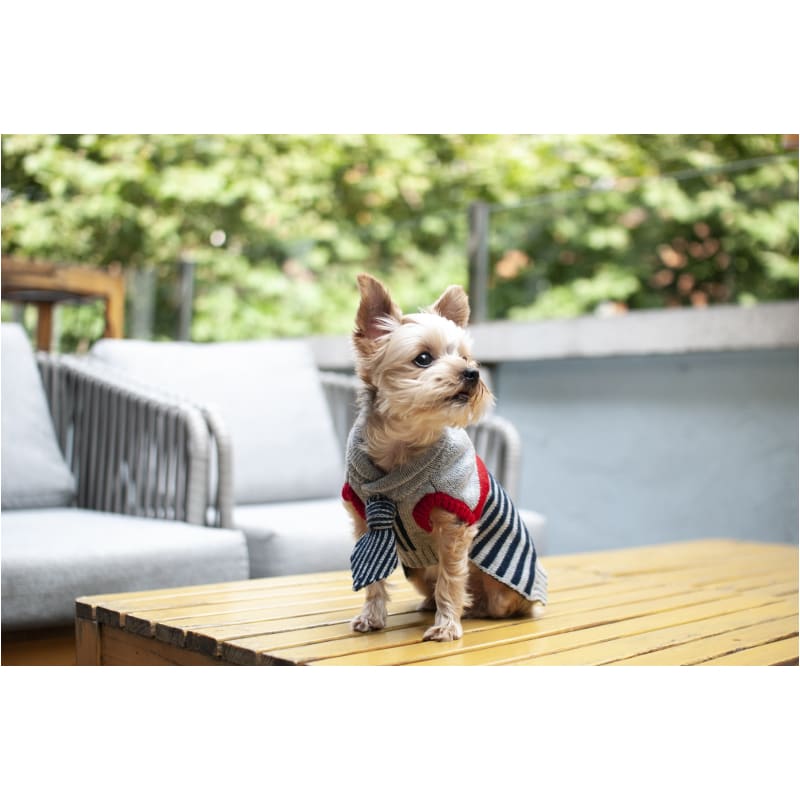 - The Preppy Necktie Dog Sweater clothes for small dogs cute dog apparel cute dog clothes dog apparel dog hoodies