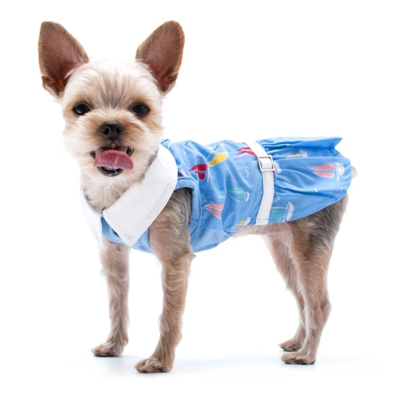 - Summer Beach Dog Dress DRESSES NEW ARRIVAL
