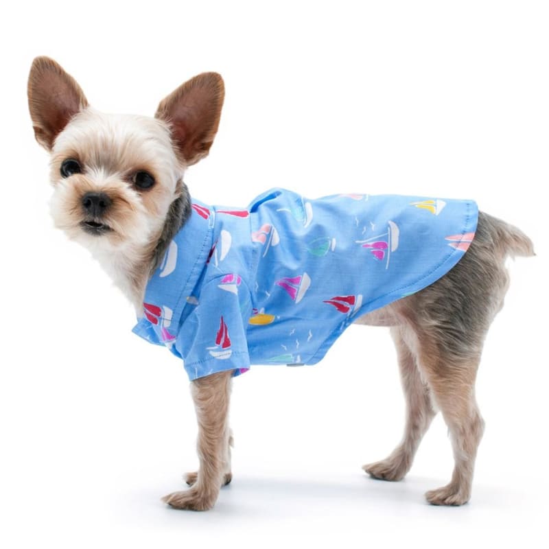 - Summer Beach Dog Shirt DRESSES NEW ARRIVAL