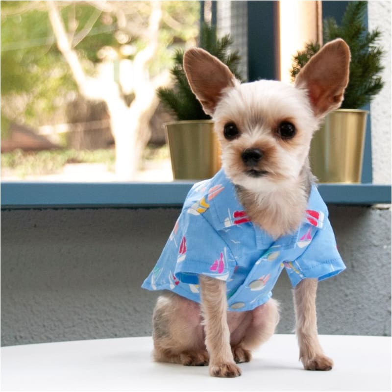 - Summer Beach Dog Shirt DRESSES NEW ARRIVAL